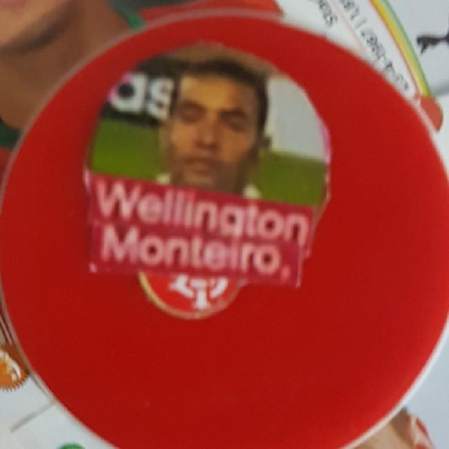 Wellington Monteiro