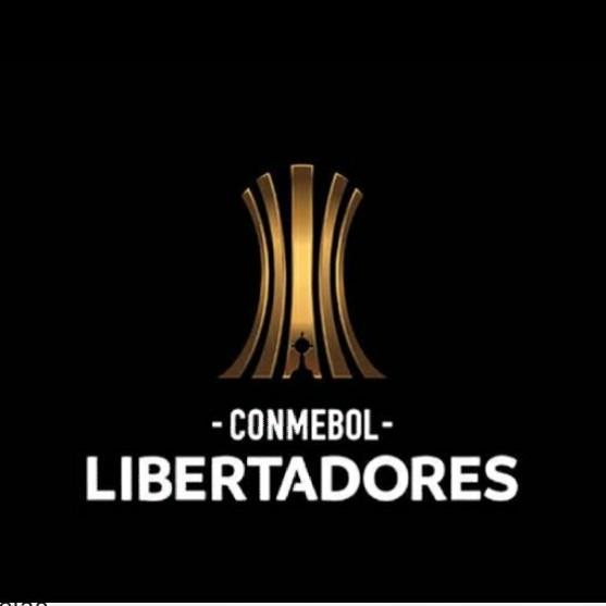 Conmebol Libertadores Bot