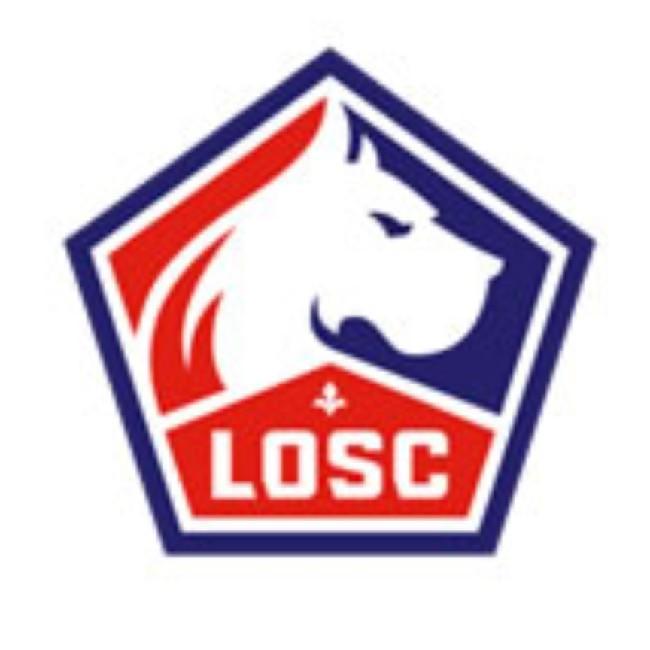 LOSC Lille Metropole