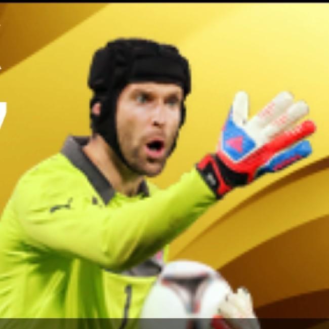 P. CECH