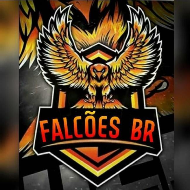 FALCÕES