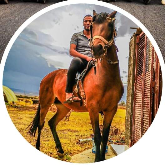 Djalel Ben Chekor 41