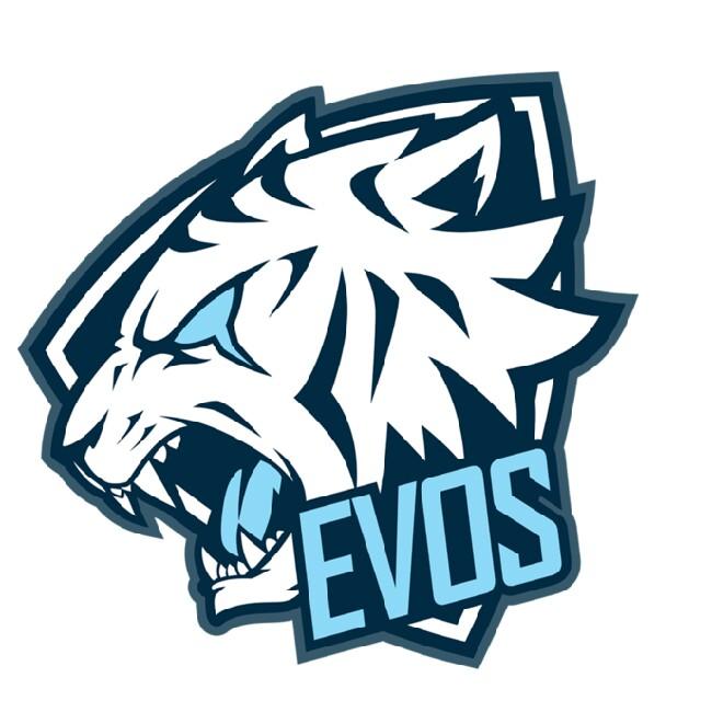 EVOS Esports 🇻🇳