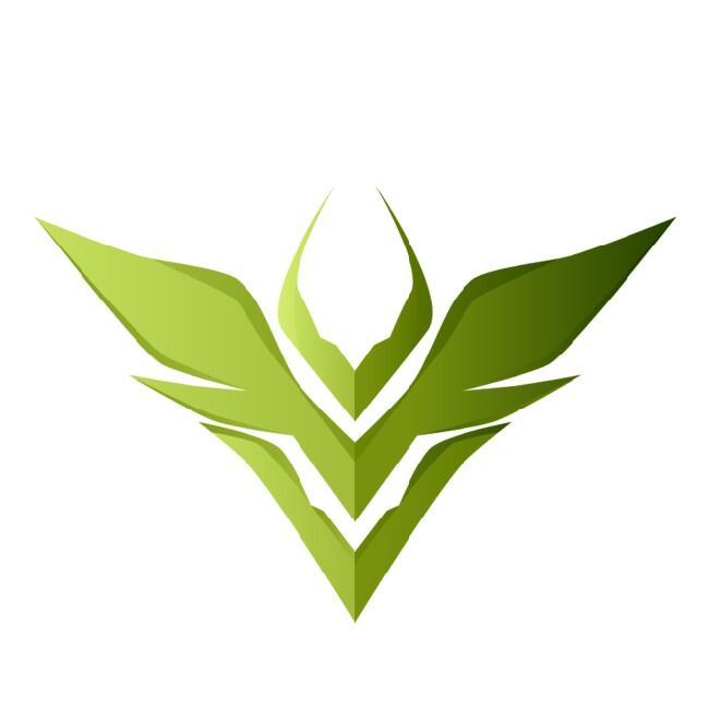 V3 Esports