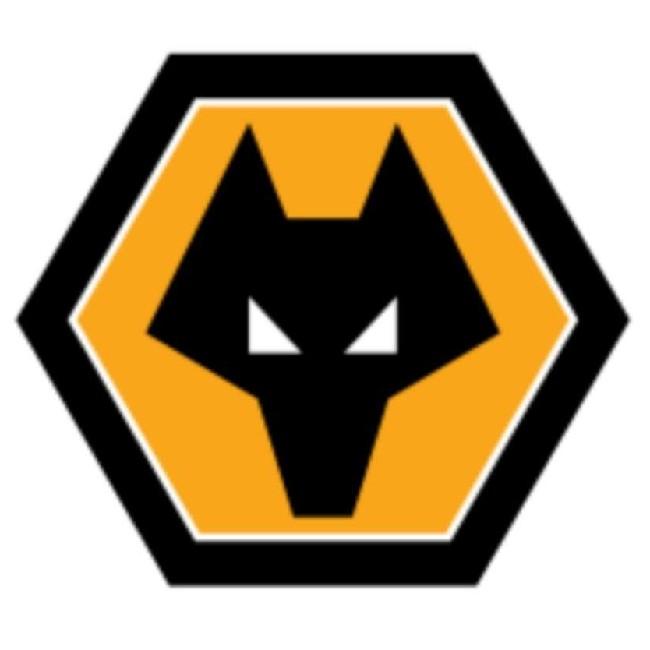 Wolverhampton Wanderers FC