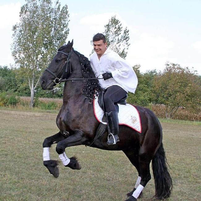 Kremniczki Ferenc