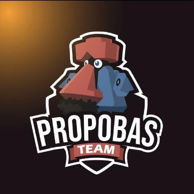 Team Propobas