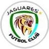 JAGUARES