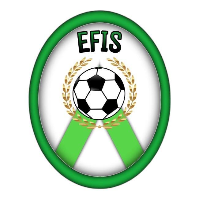 EFIS