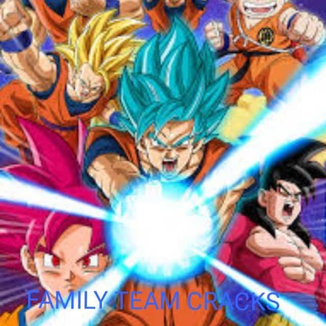 FAMILY team cracks