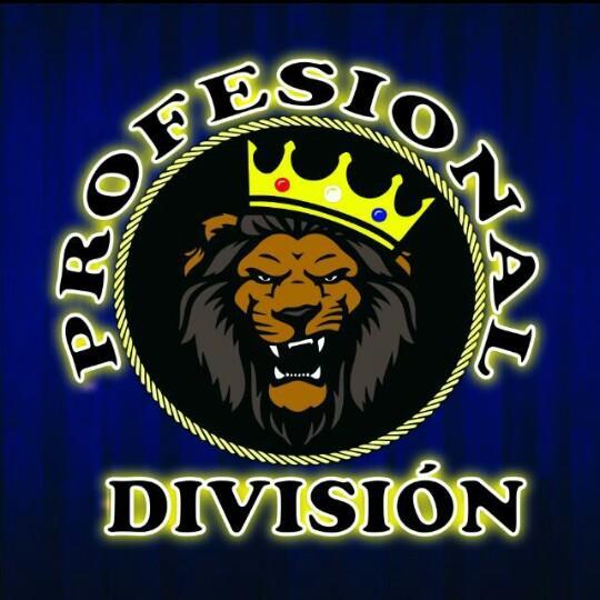 División Profesional - Score Match