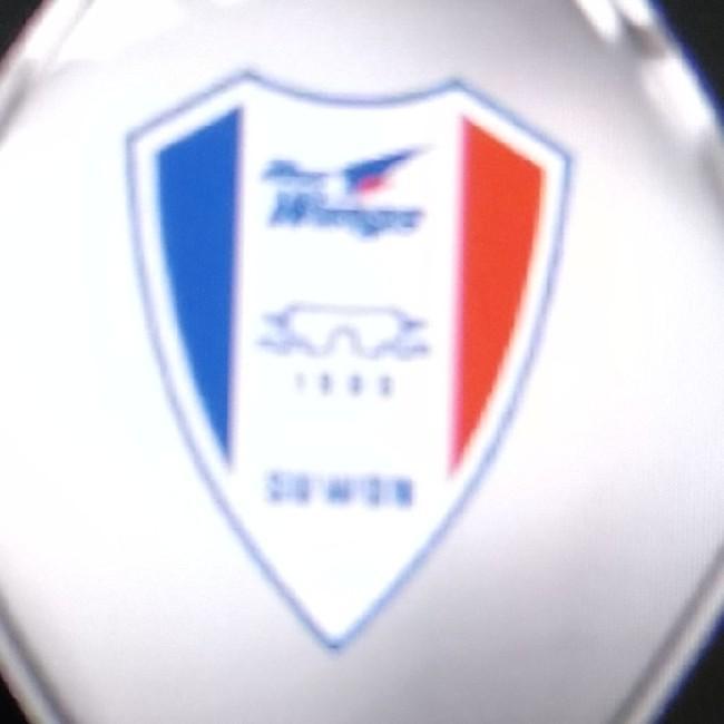 Suwon Bluewings