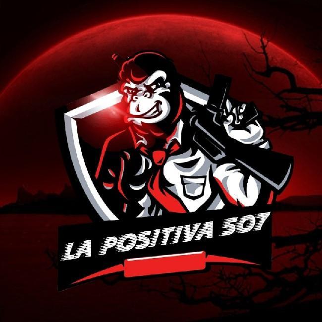 La positiva 507