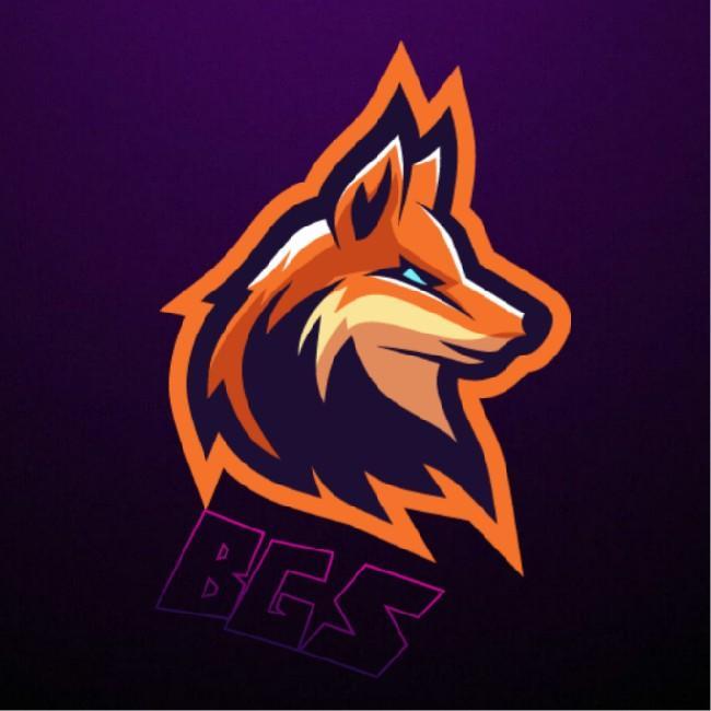 BRAVOS, GUERREIROS, SORTUDOS