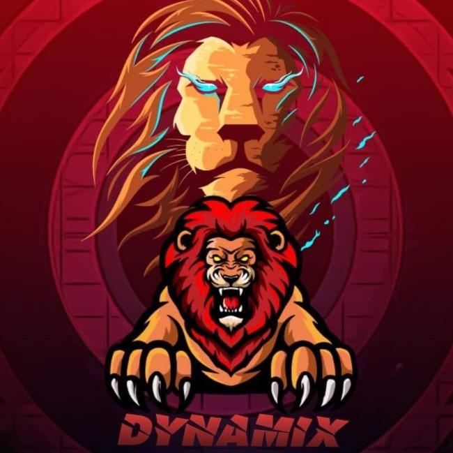 DYNAMIX