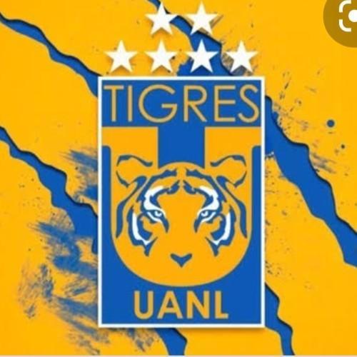 Tigres MEX