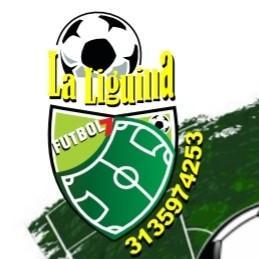 La liguilla Torneo amigos  f7