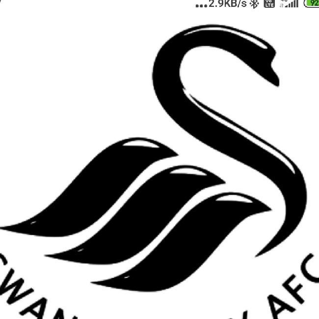 SWANSEA CITY