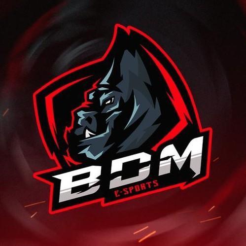 #♻️ BDM  rugal