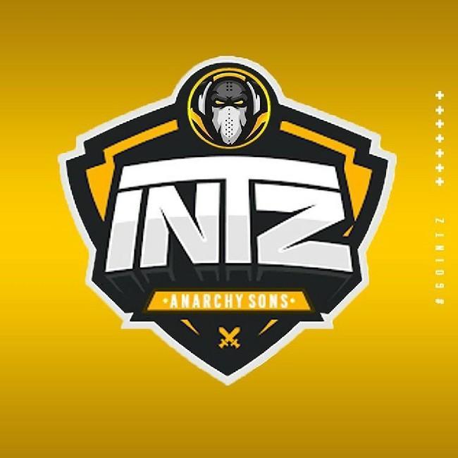 #✳️ INTZ