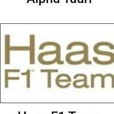 Haas f1 team