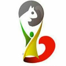 Copa Do Mundo 2014