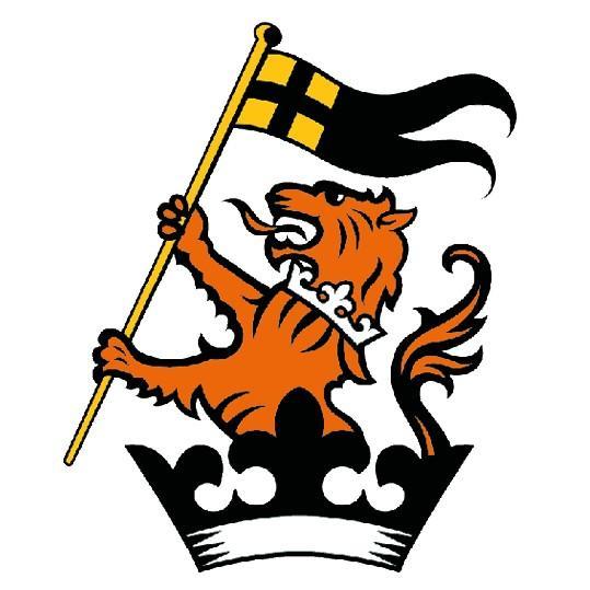 Dejink Calcio Itaal