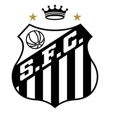 Santos de brasil