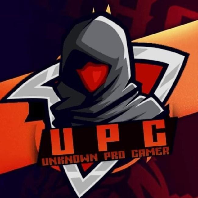 Unknown Pro Gamer