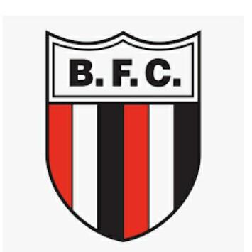 BOTAFOGO-SP