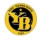 Young Boys