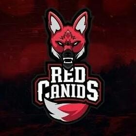 Red canids
