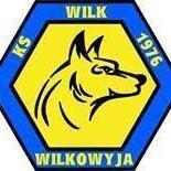 Wilk Wilkowyja