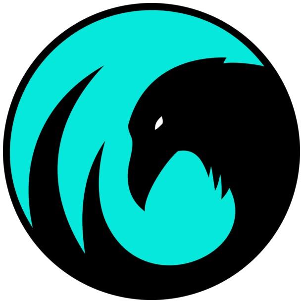 CrowCrowd