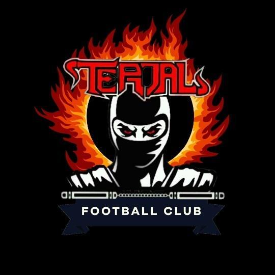 Terjal FC