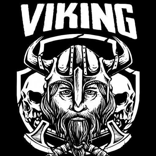 Vikings Sports
