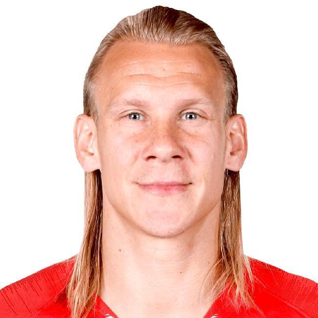 Domagoj Vida