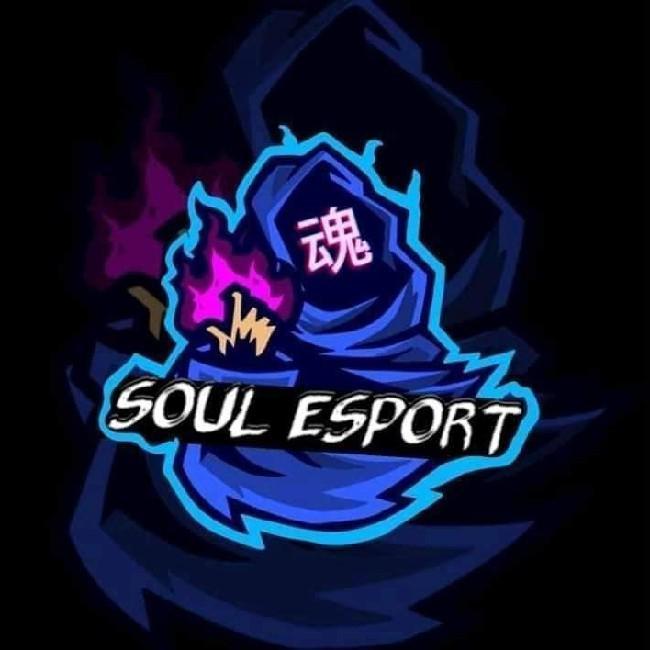 Soul Esports