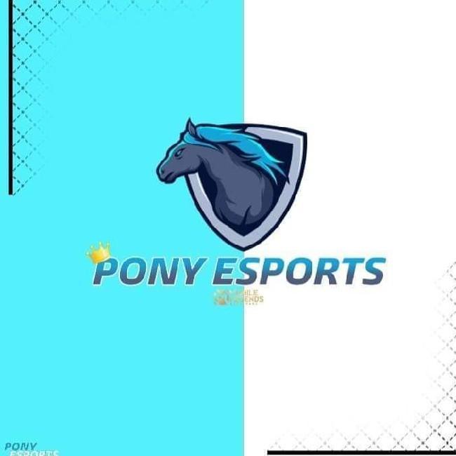 Pony Esports