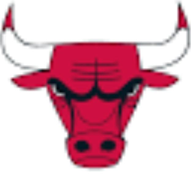 Chicago Bulls