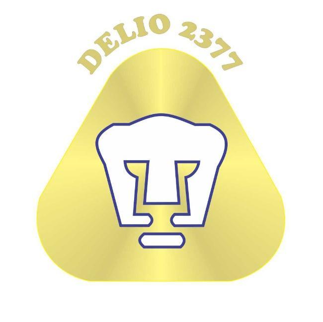 DELIO2377