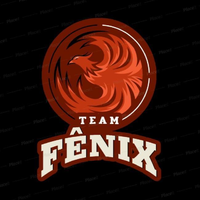 TEAM FÊNIX