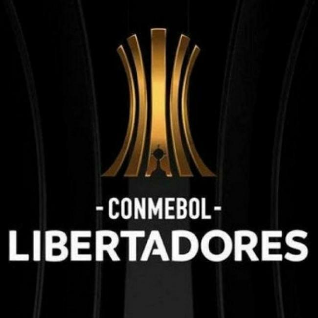 Copa Libertadores NU