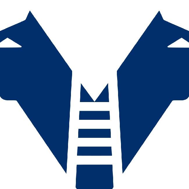 Hellas Verona