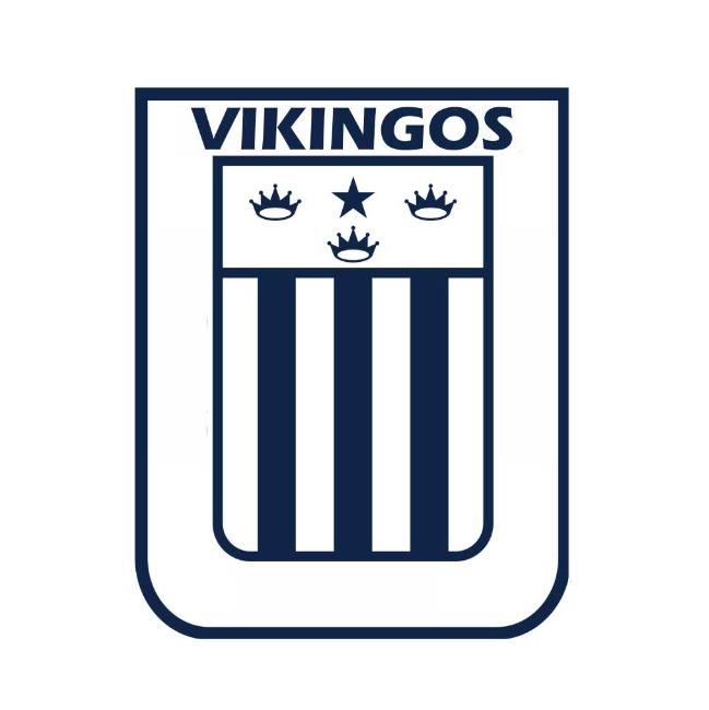 VIKINGOS