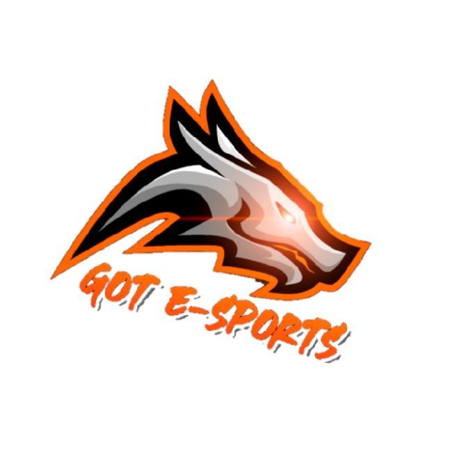 GOT ESPORTES