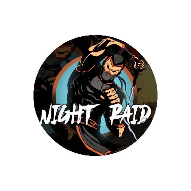 NIGHT RAID