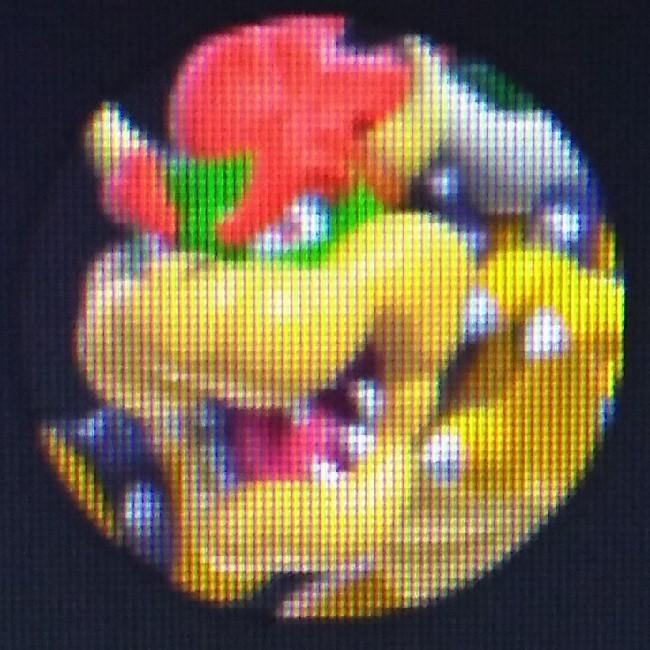 Bowser