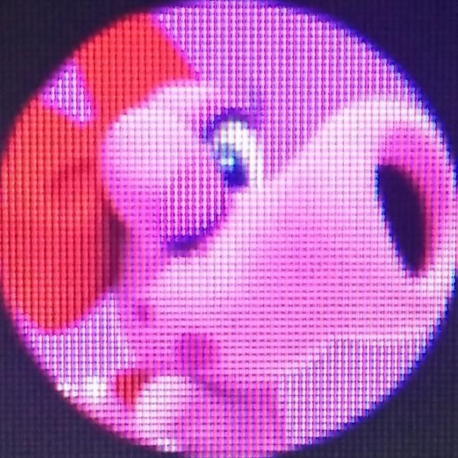 Birdo