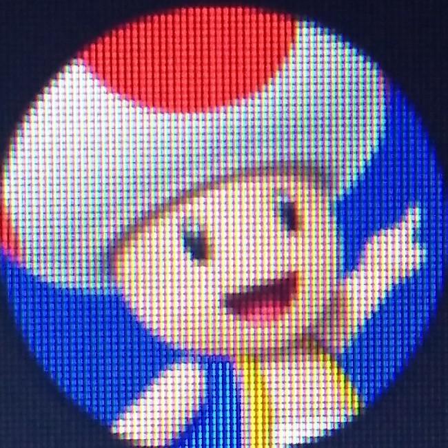 Toad